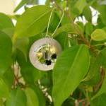 Secret garden-blossom wheel..